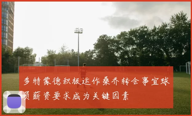 多特蒙德积极运作桑乔转会事宜球员薪资要求成为关键因素